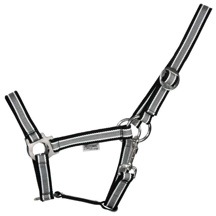 EQuest Halfter+Strick Set